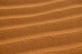 Dunes Sand Texture brown