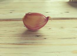 Healthy garlic on the table