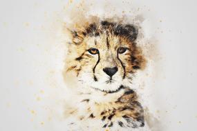 art abstract of leopard animal