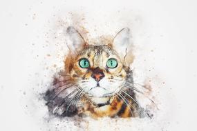 cat as a abstract watercolor