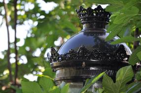 black lamp in green leaves