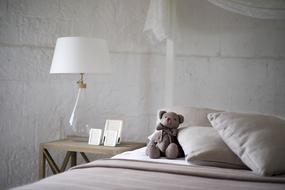 teddy bear on the bed in the bedroom