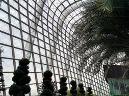Windows Architecture Glass