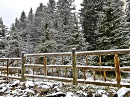 wooden fence in the woods