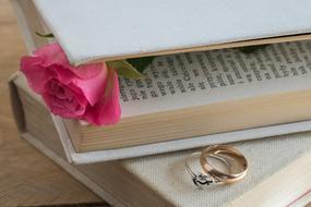 the pink flower in the ring book