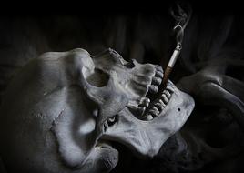 skull of a man with a cigarette