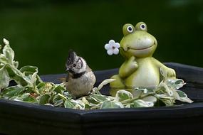 Bird Tit on a pond among garden decorations
