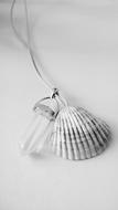 seashell jewelry