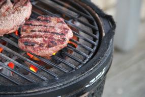 juicy grilled dish