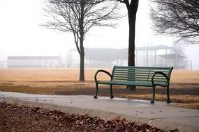 green bench in the trees