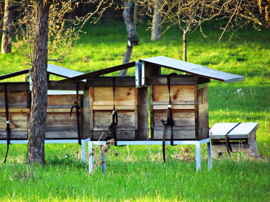 Ule Beehive Cottages