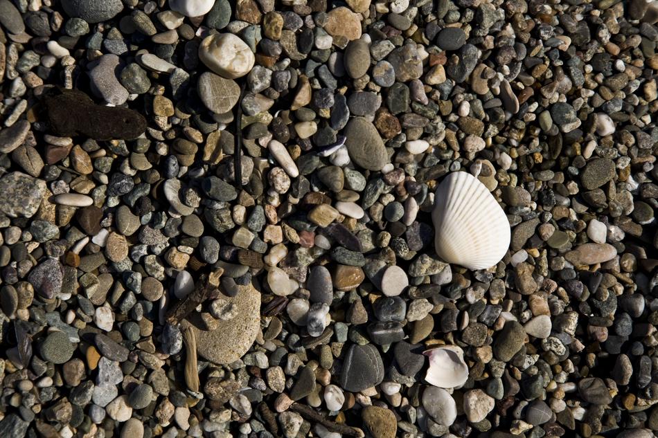 Gravel Beach Stones
