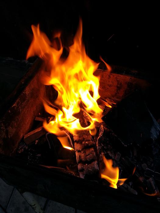 fire dark trees beautiful