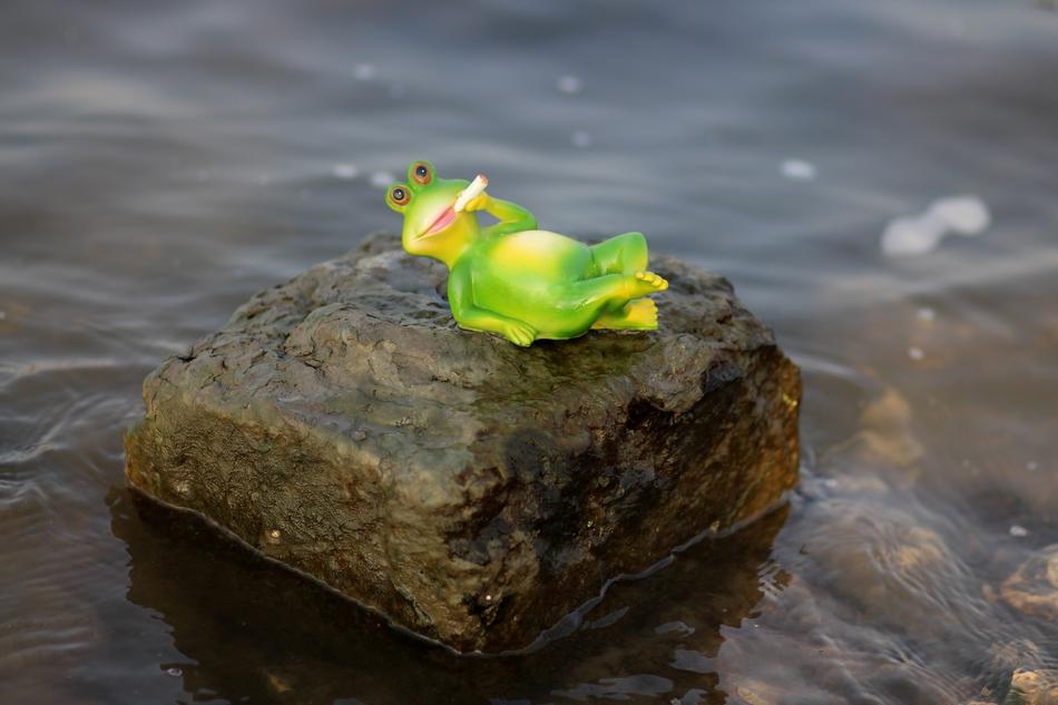 stone frog by the water