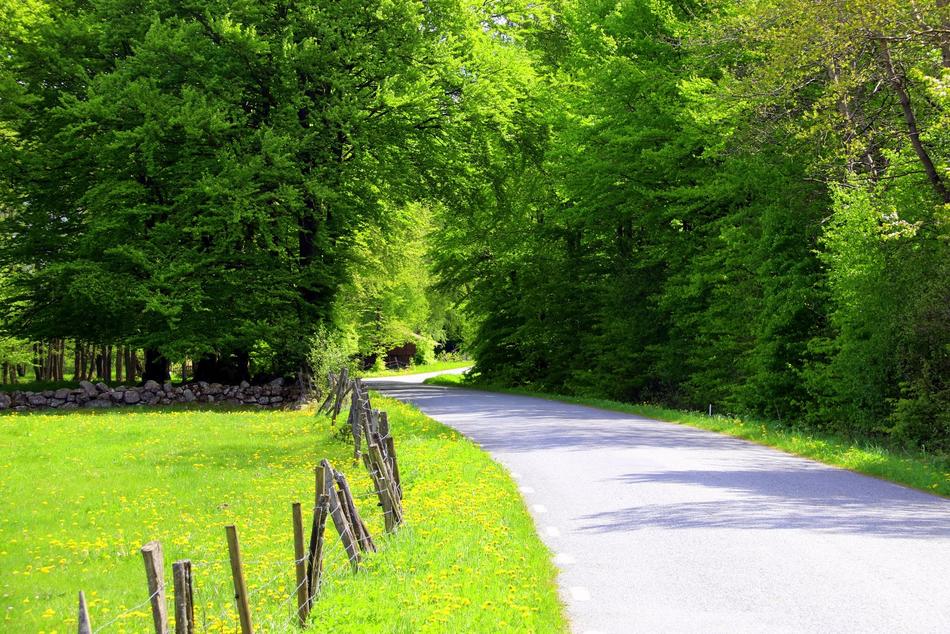Skåne Road Summer