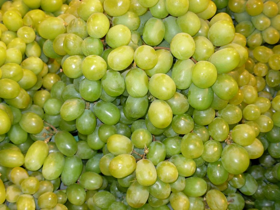 green grapes are juicy and delicious