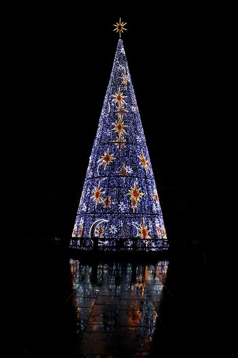 colorful Christmas tree lights