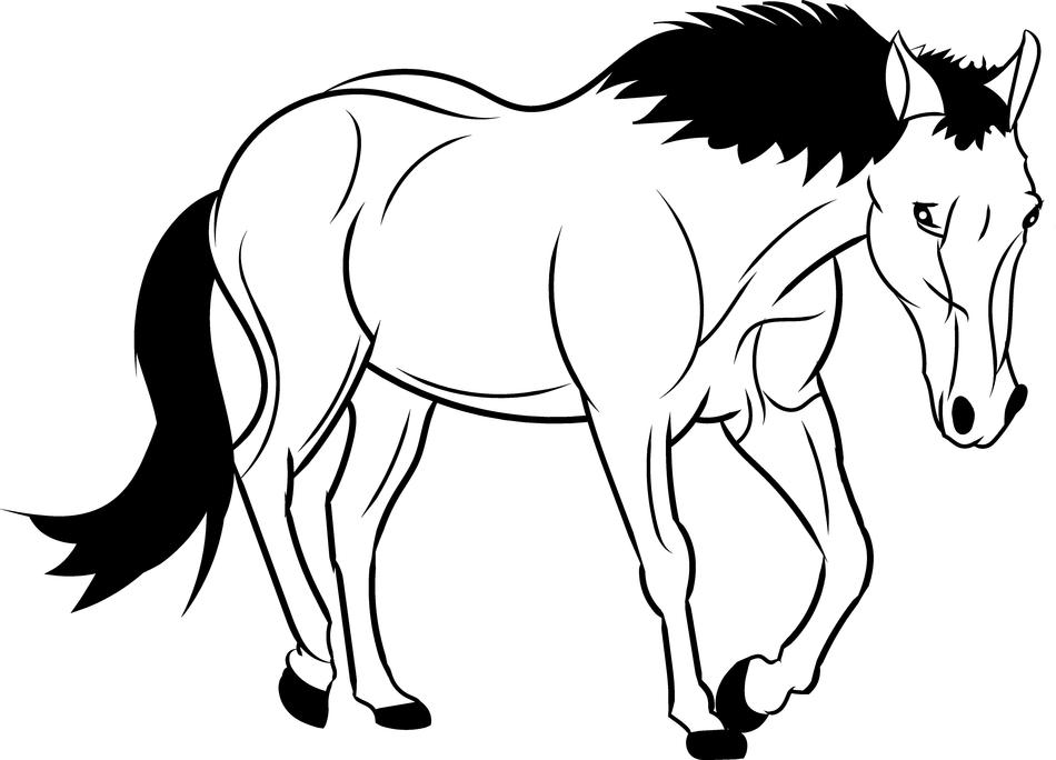 horse as drawing