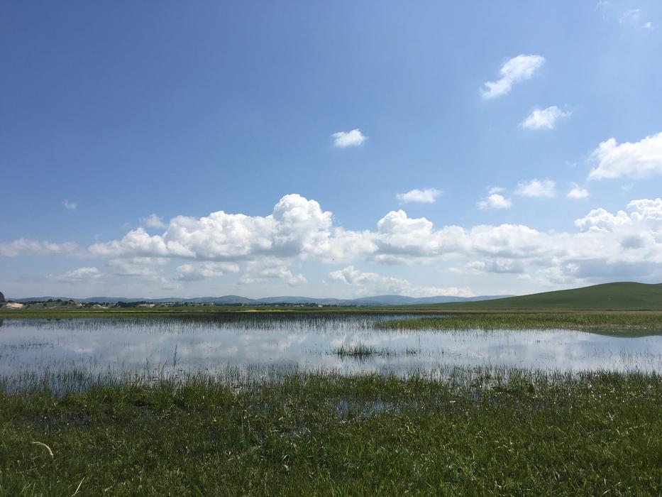 grass water blue clouds