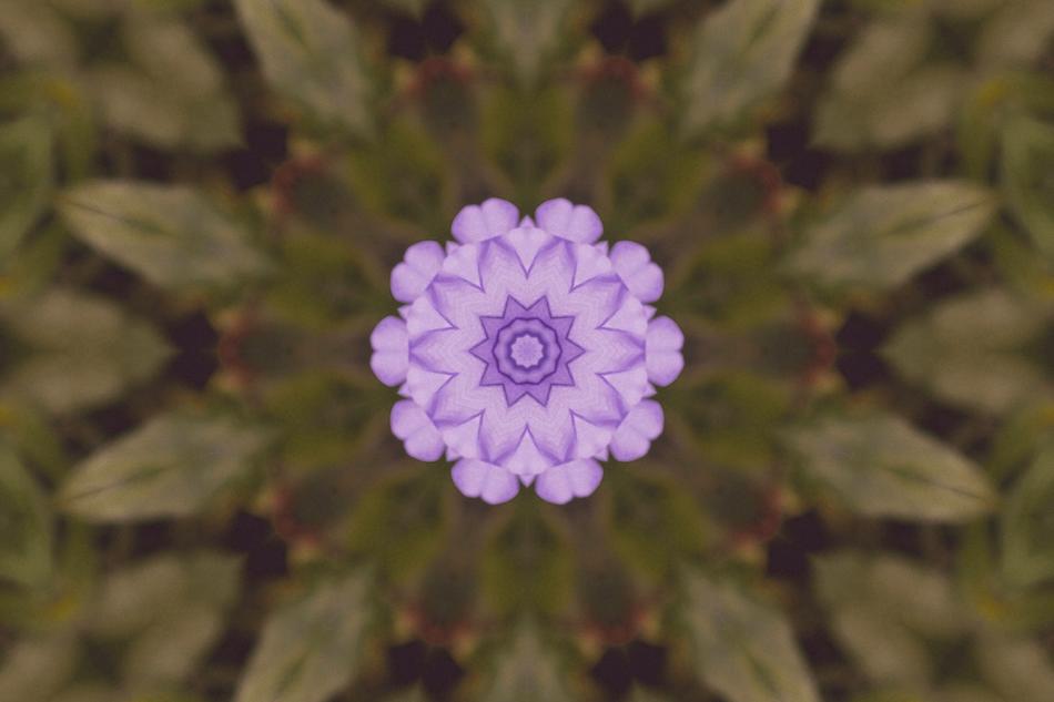 background abstract texture graphic flower