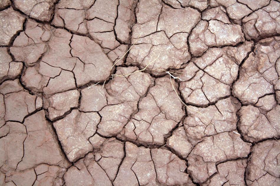 cracks in dry soil, close-up