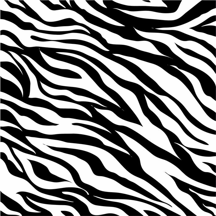 Beautiful, black and white pattern of zebra
