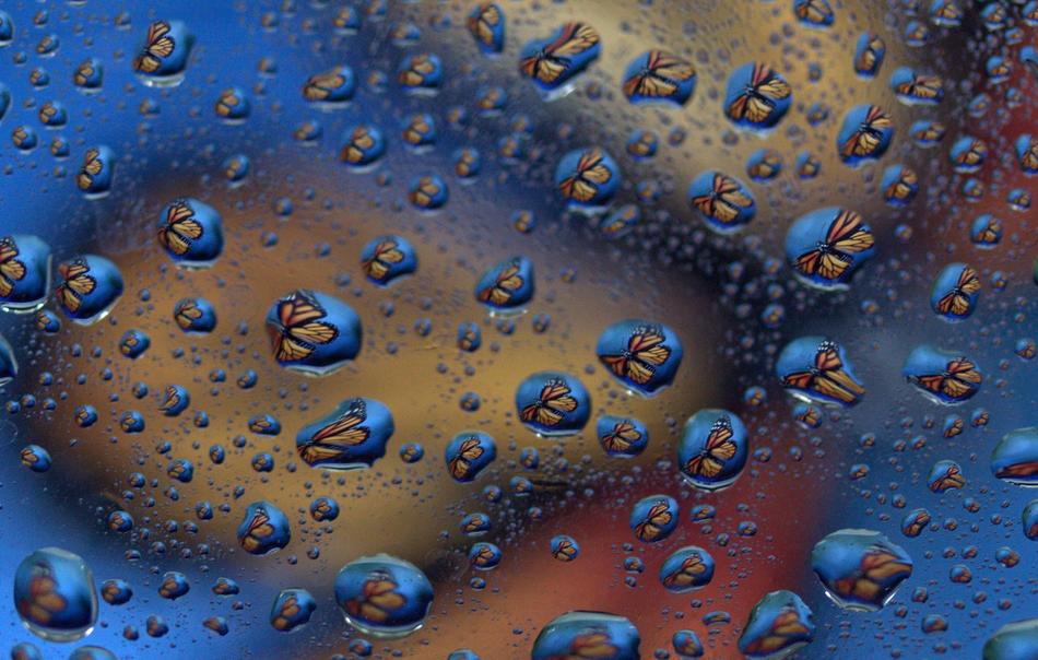 Drops Reflection Water