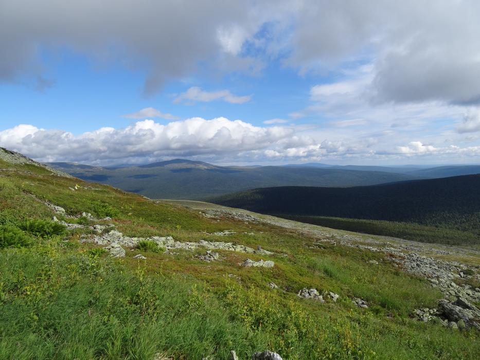 Dyatlov Pass Kurumnik Road