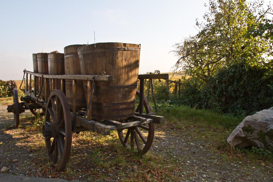 wagon chariot hay