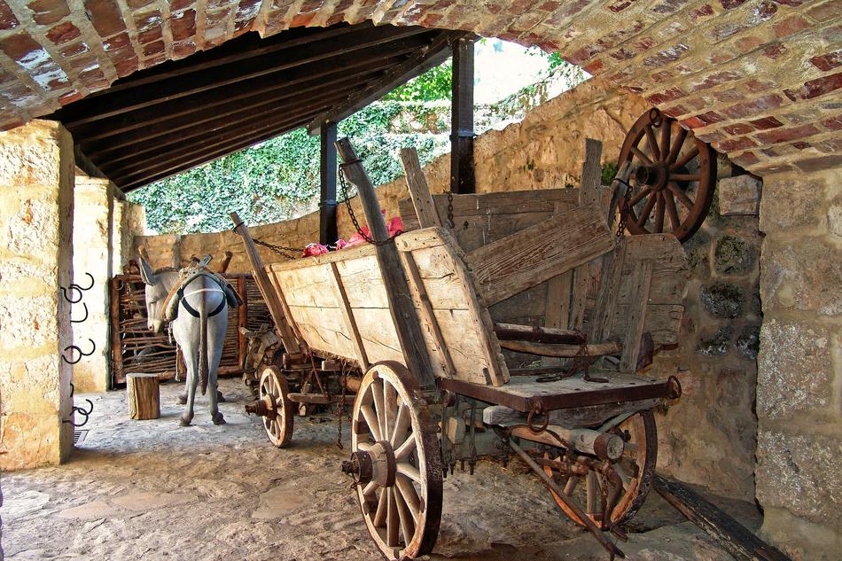 Cart Agriculture Transport
