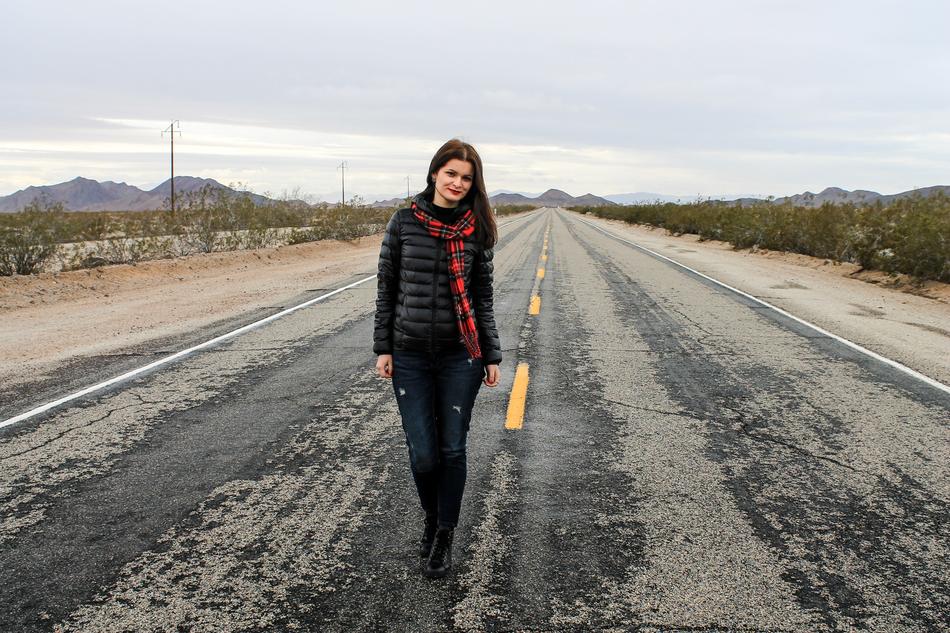 Road 66 Route