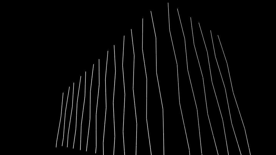 black line light