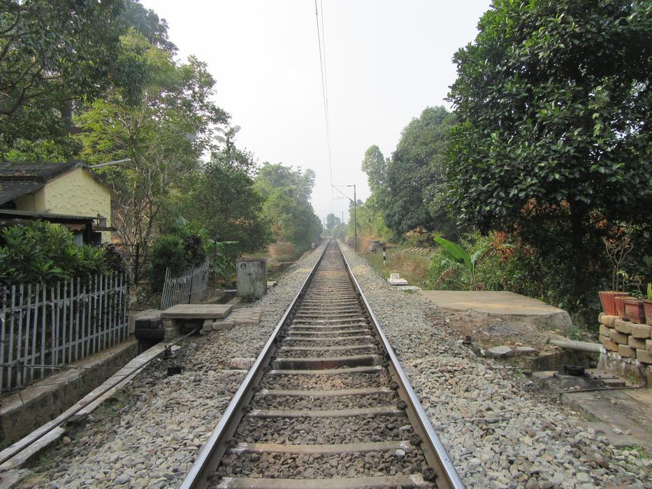 Line Railroad Transportation