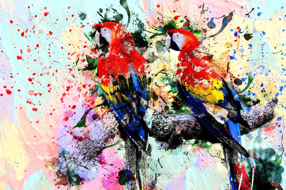 Colorful and beautiful painting of the parrots, with paint splatter, clipart