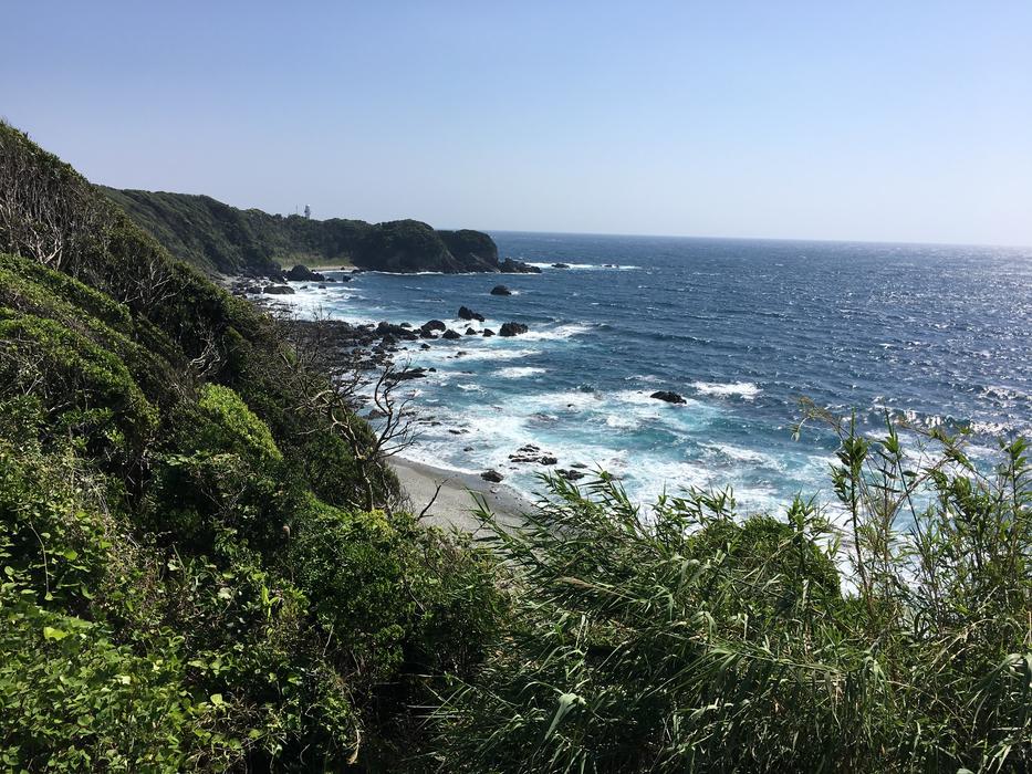 ocean trees landscape