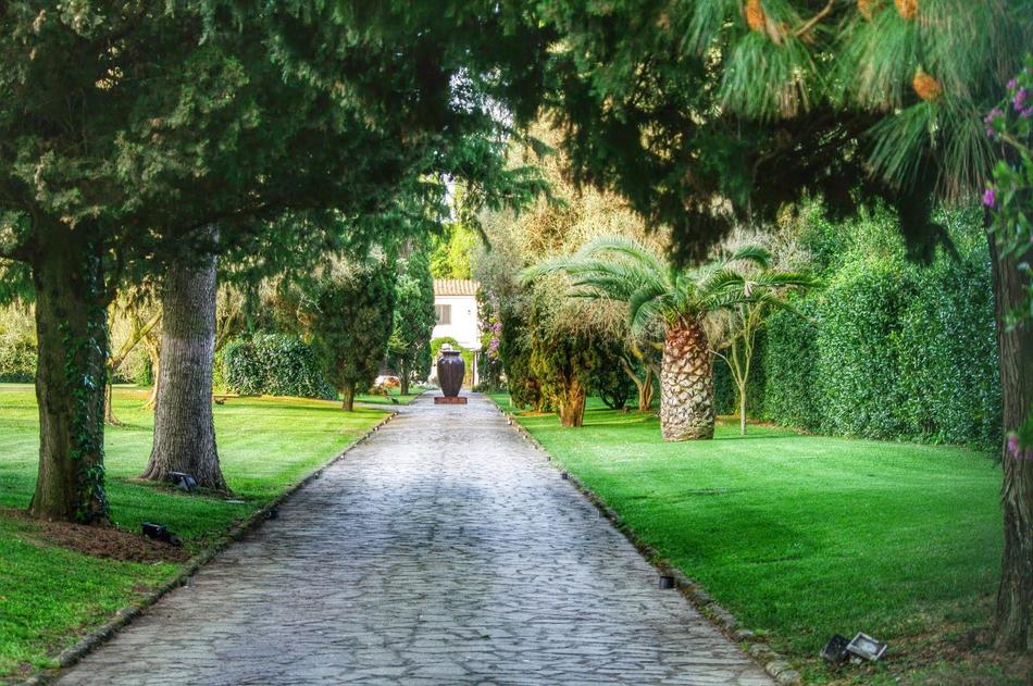 Appia Antica Rome Roman