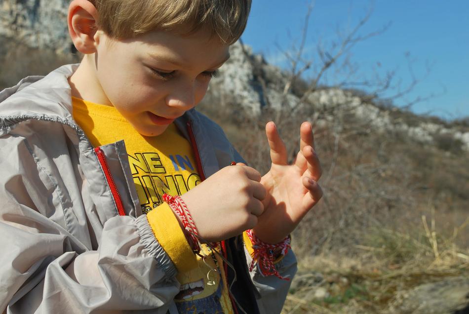 portrait of Boy Observe Ladybug