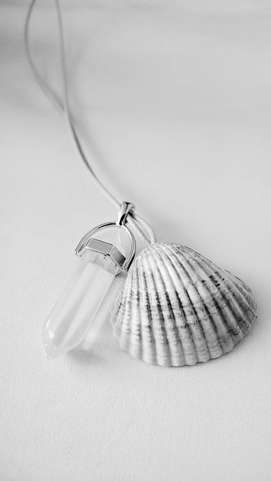 seashell jewelry