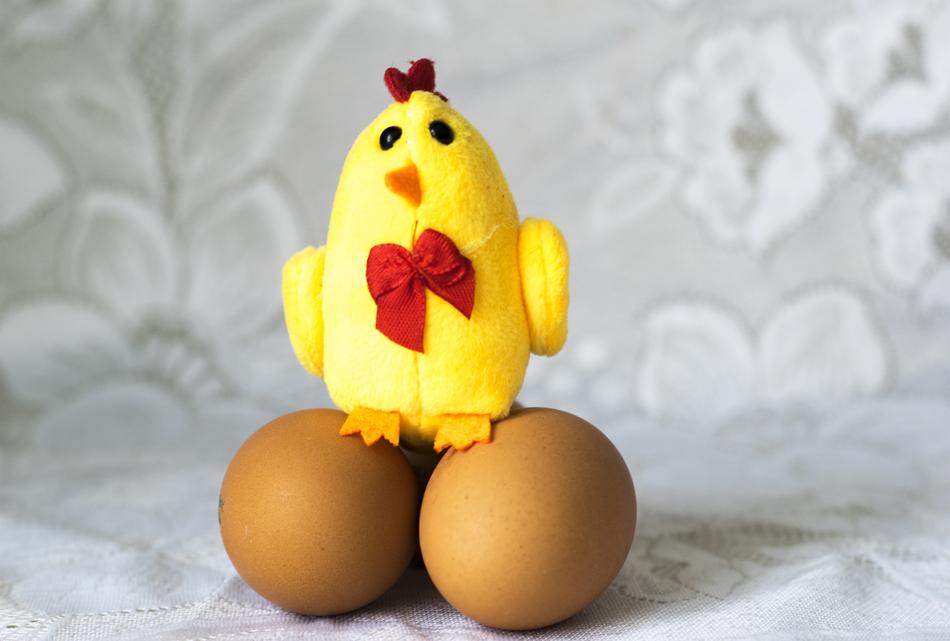 two yellow bird eggs