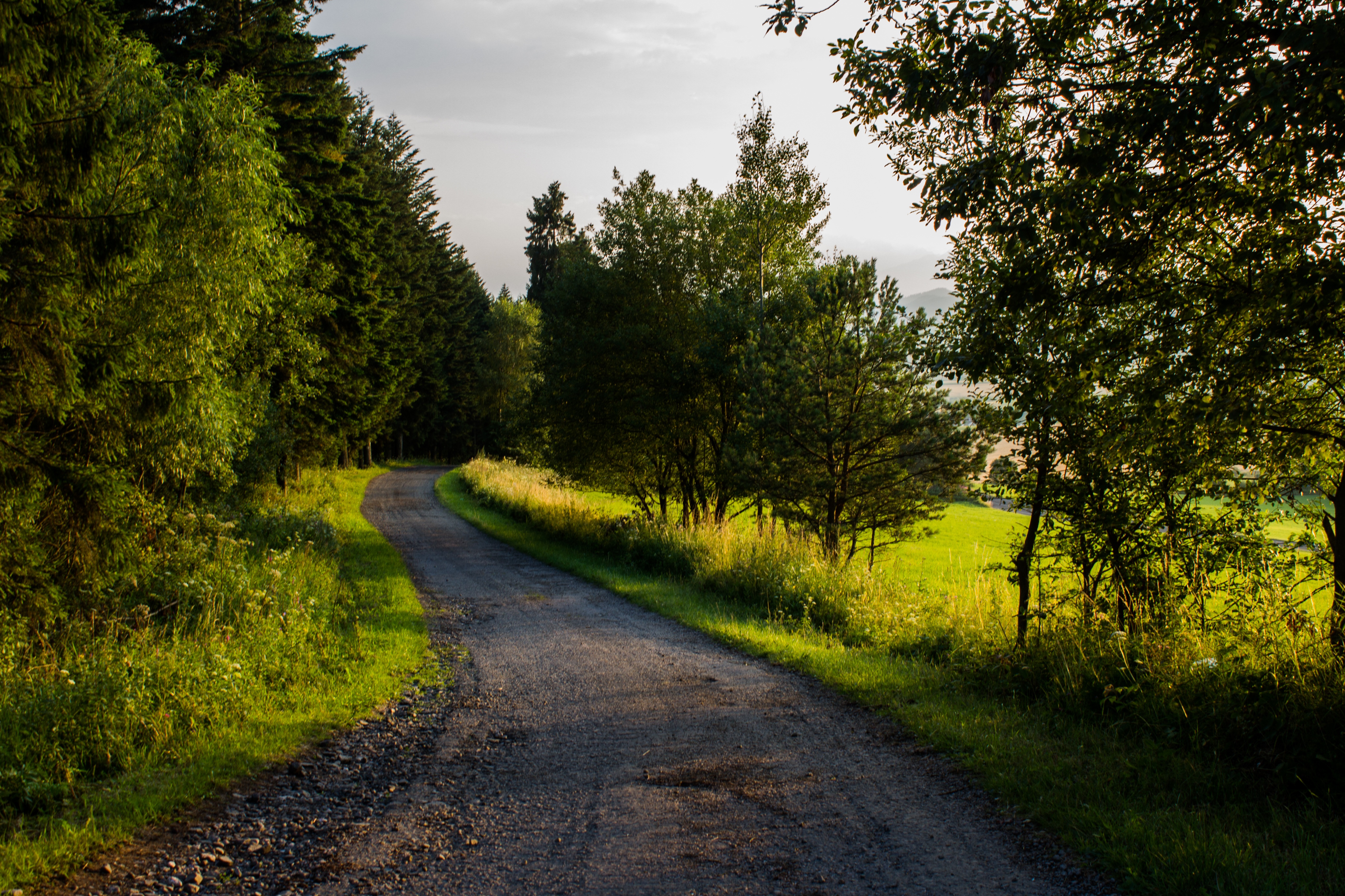 cheney state park