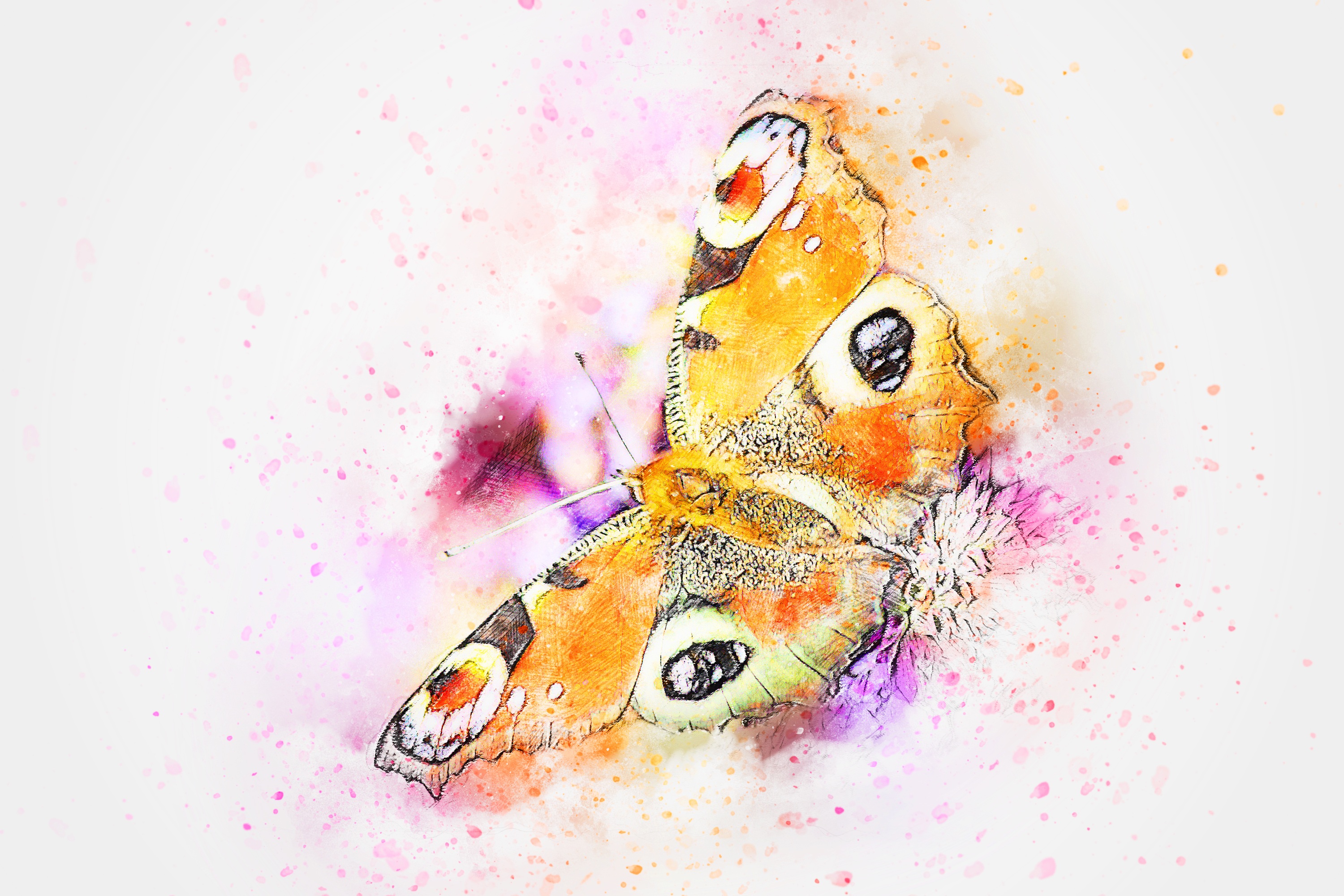 Нарисованный милая бабочка акварель