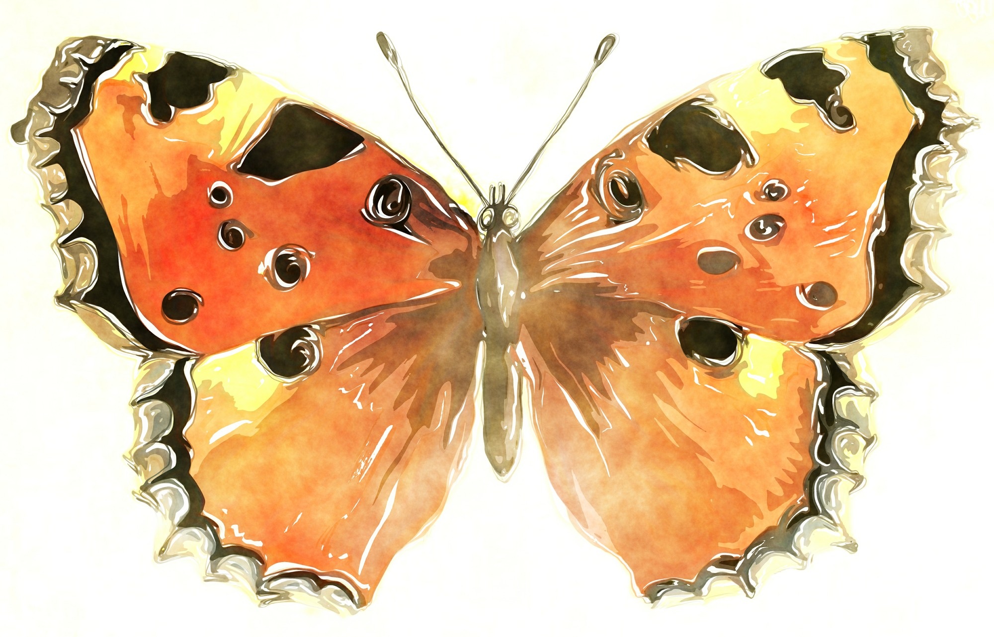 Бабочка акварель оранжевая