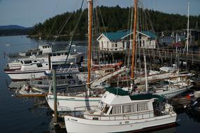 Boat Harbour Water