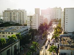 roof view of street in tropical city