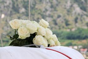 bouquet of roses on the table