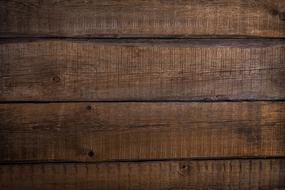 Background Tree Wood texture