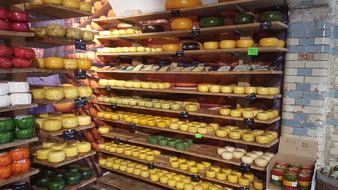 delicious cheeses on the shelf