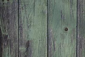 old wooden door with green paint