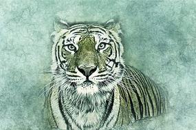 digital art, striped tiger