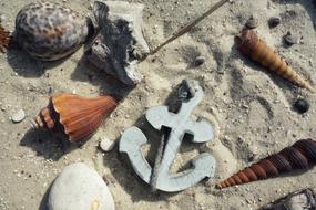 shell anchor sand